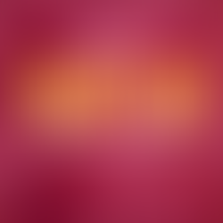 2024 Truck-a-Thon Thank You!