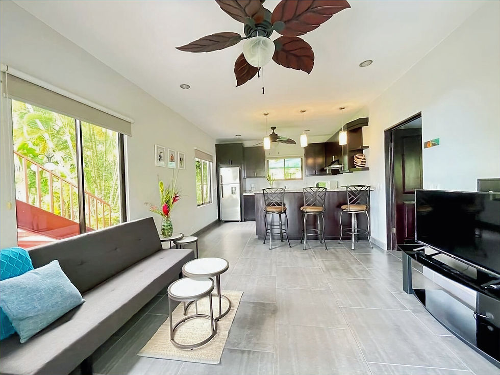 Living room and kitchen