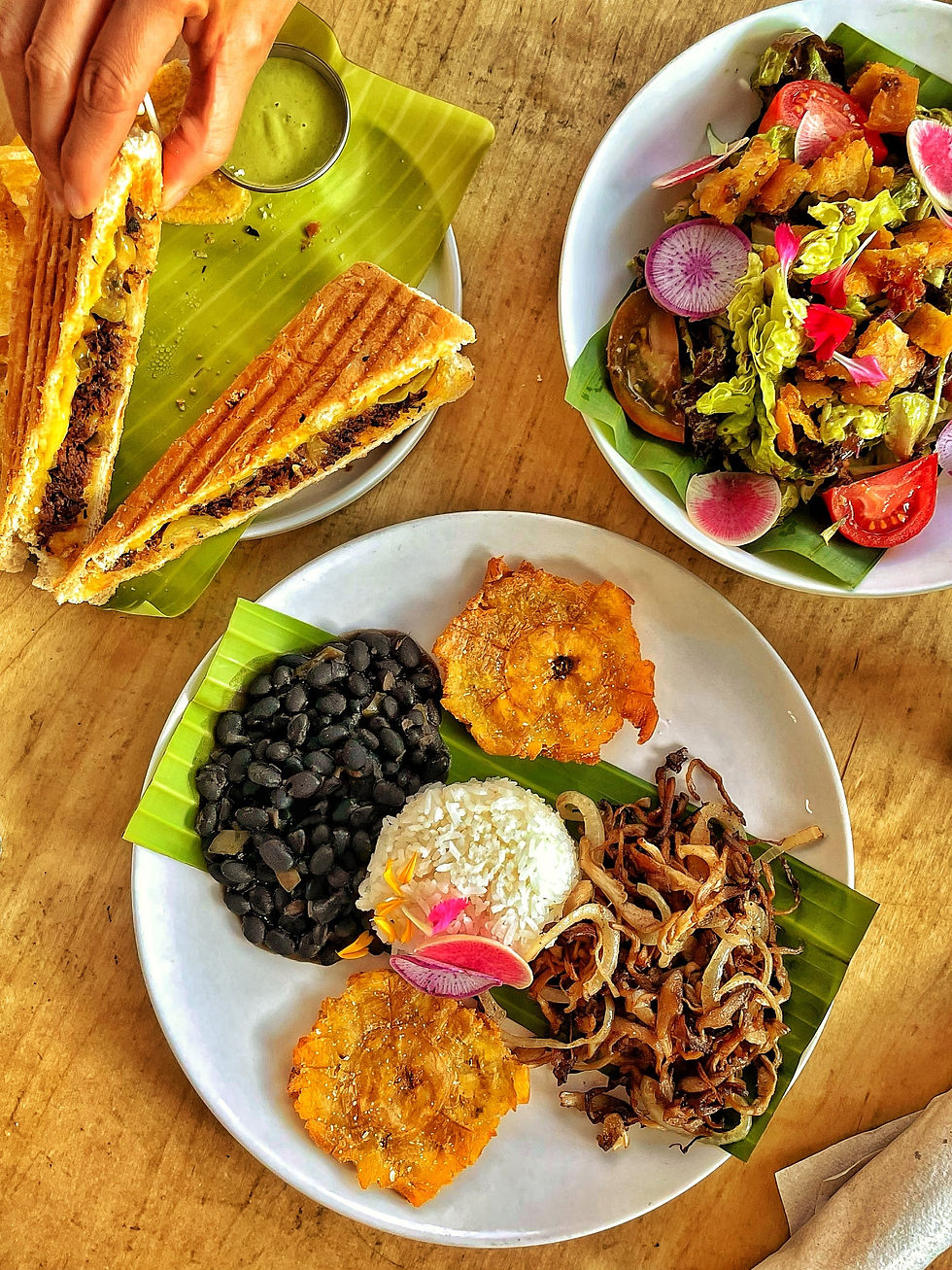 A plate of typical Costa Rican food