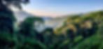 Lot_34_Caracara_Ridge_Sold