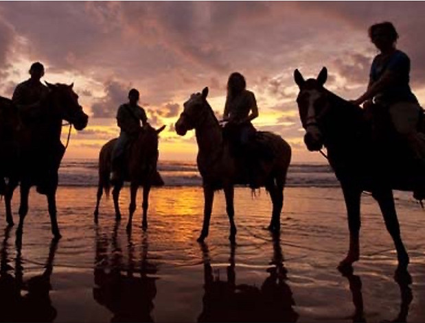 Horses with riders on a beach during sunset