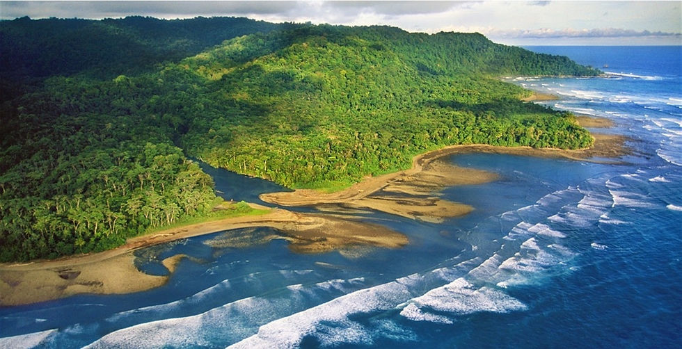 Drone photo of Corcovado National Park