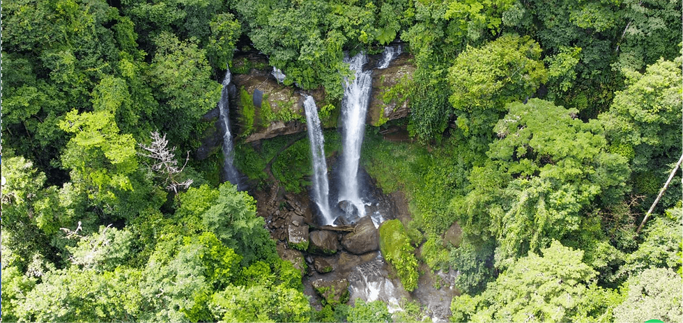 Drone photo of a waterfall in the jungle