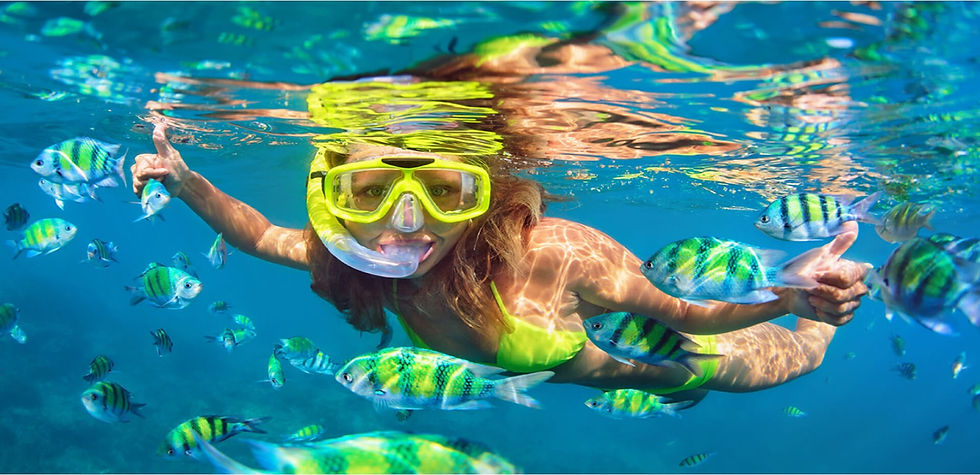 Snorkelling with colorful fish