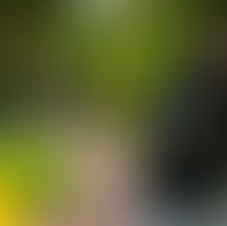 2026 Representative Council's organizational meeting