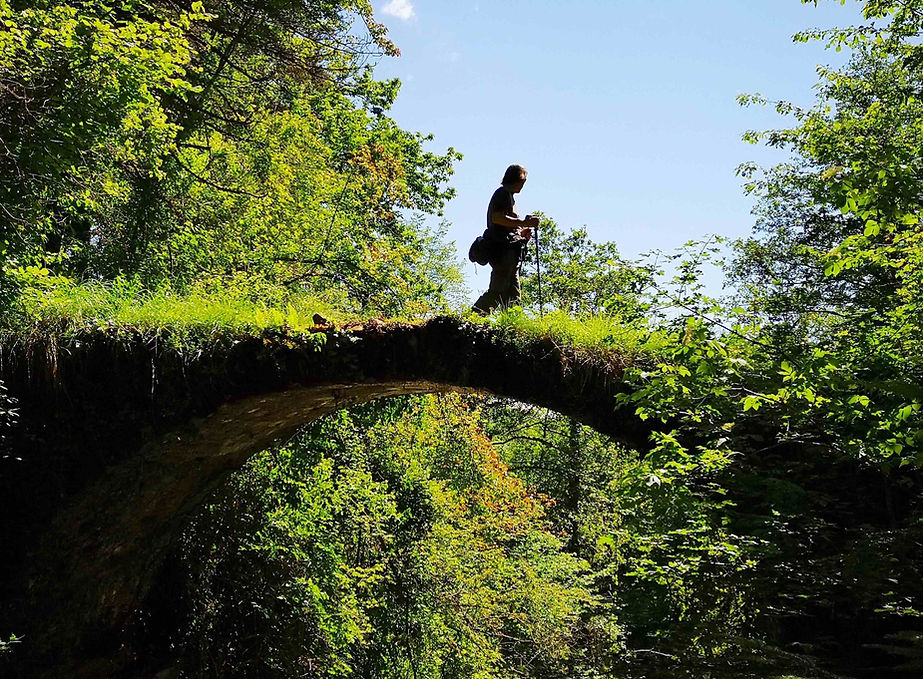 ponte-rio-grupin-scaled.jpg