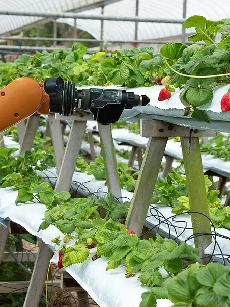 FarmingAutomation-2.webp