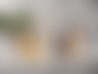 Eco-Friendly Elegance: Small Batch Luxury Home Fragrances