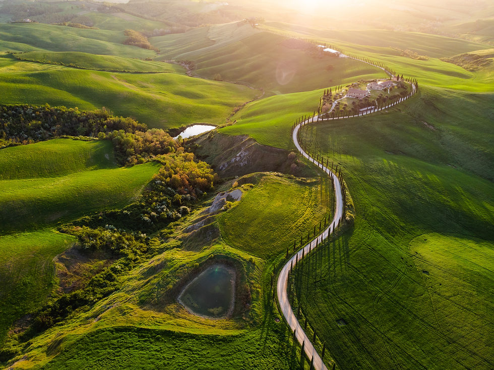 Paisaggio Toscano.jpeg