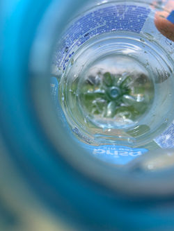 Isabella Solano (8º)