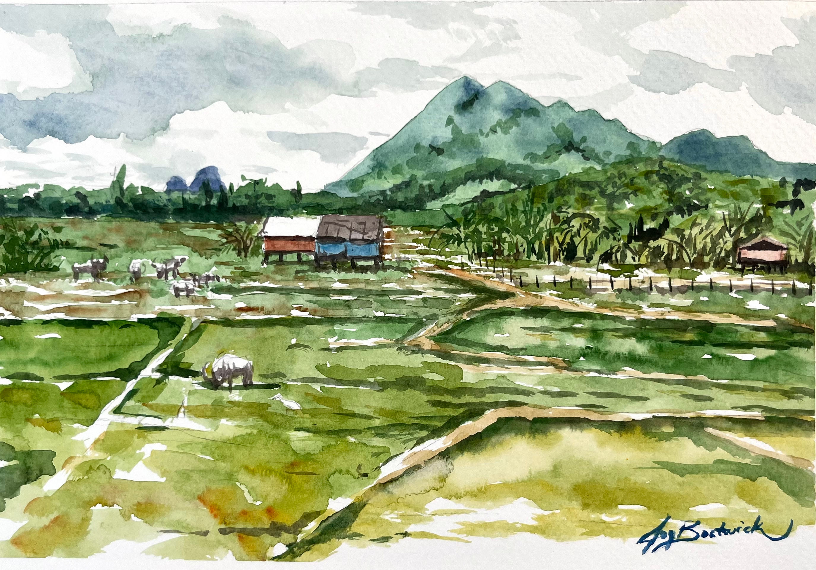 Rice Fields on Koh Yao Noi