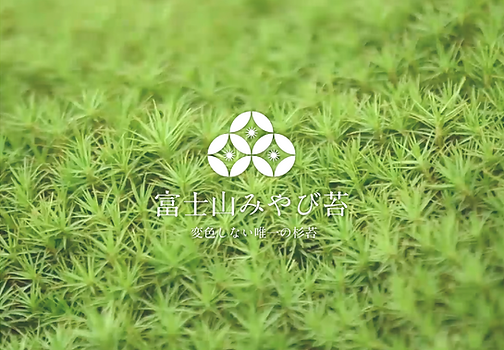 スクリーンショット 0007-09-26 14.38.48.png