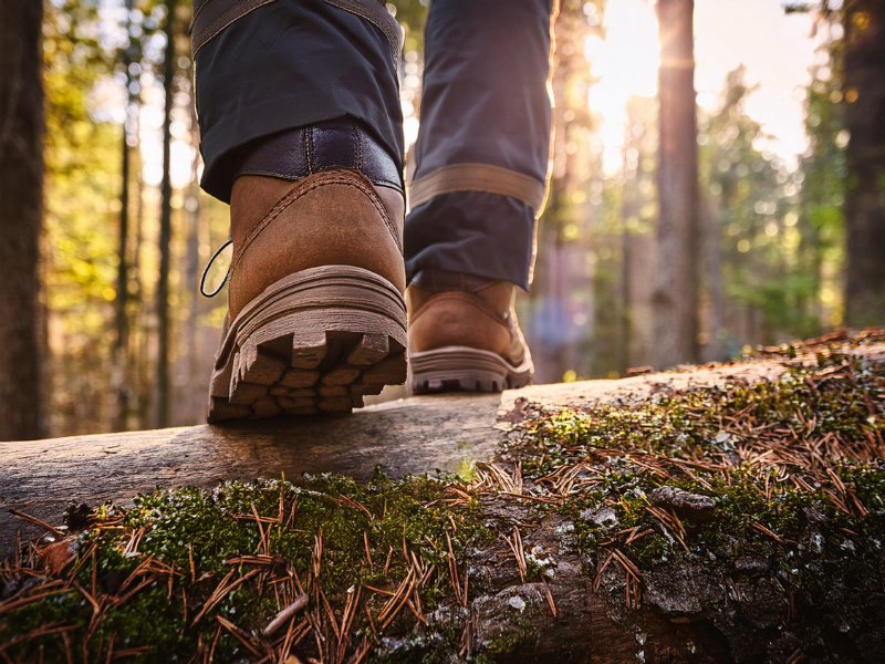 Close-up of brown hiking boots on a forest log. Sunlight filters through trees, creating a warm, adventurous atmosphere.