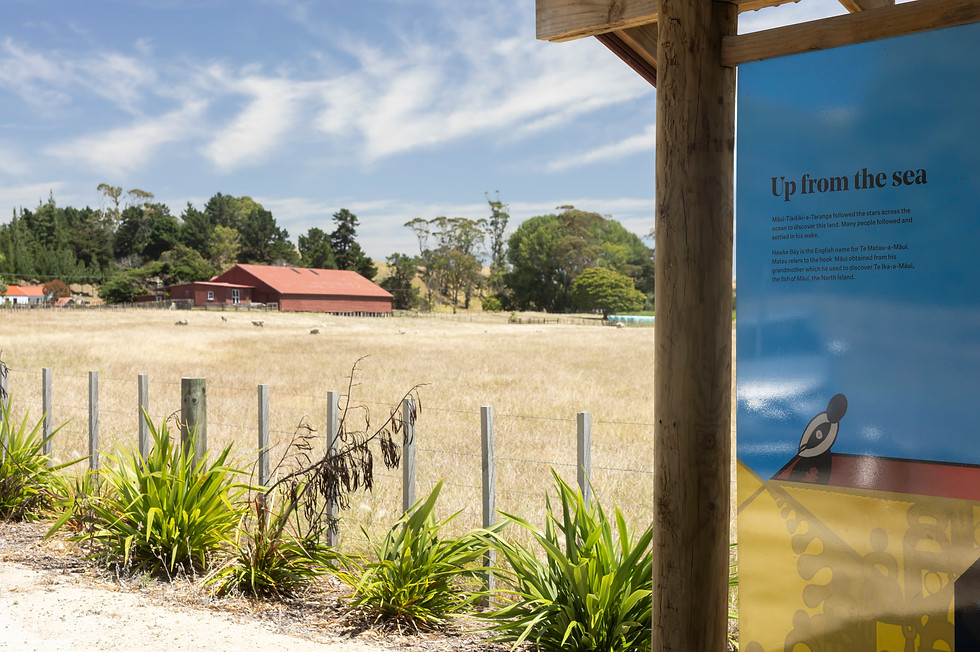 A. McVinnie - Waiaroha-98.jpg