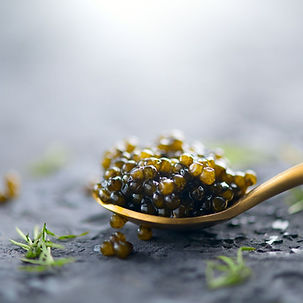 Caviar at Restaurant Egn