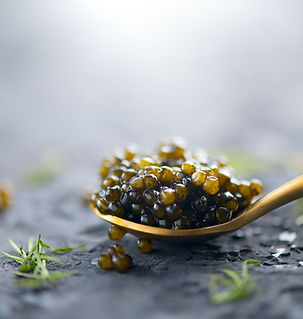 Caviar at Restaurant Egn