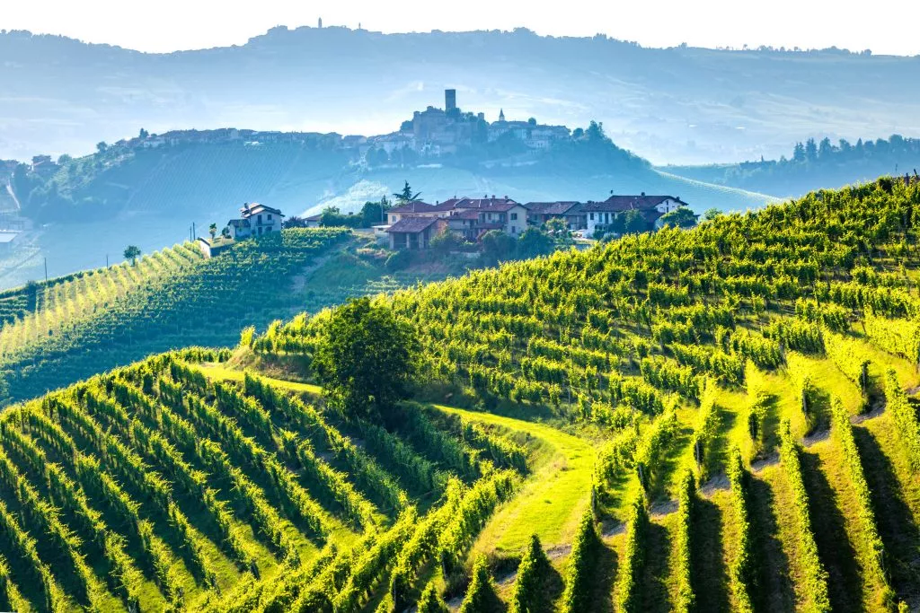 Barolo-wine-region2C-Langhe2C-Piedemont2C-Italy.-Vineyards-693988876_5537x3691-1024x683.we