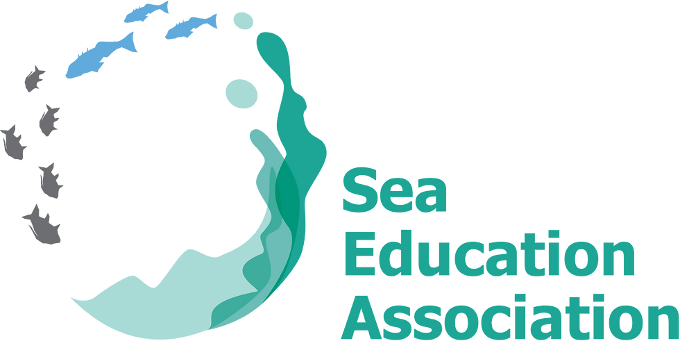SEA logo_1.png