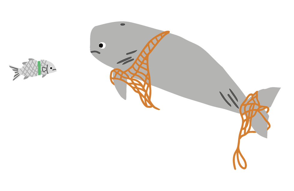 捆綁.png