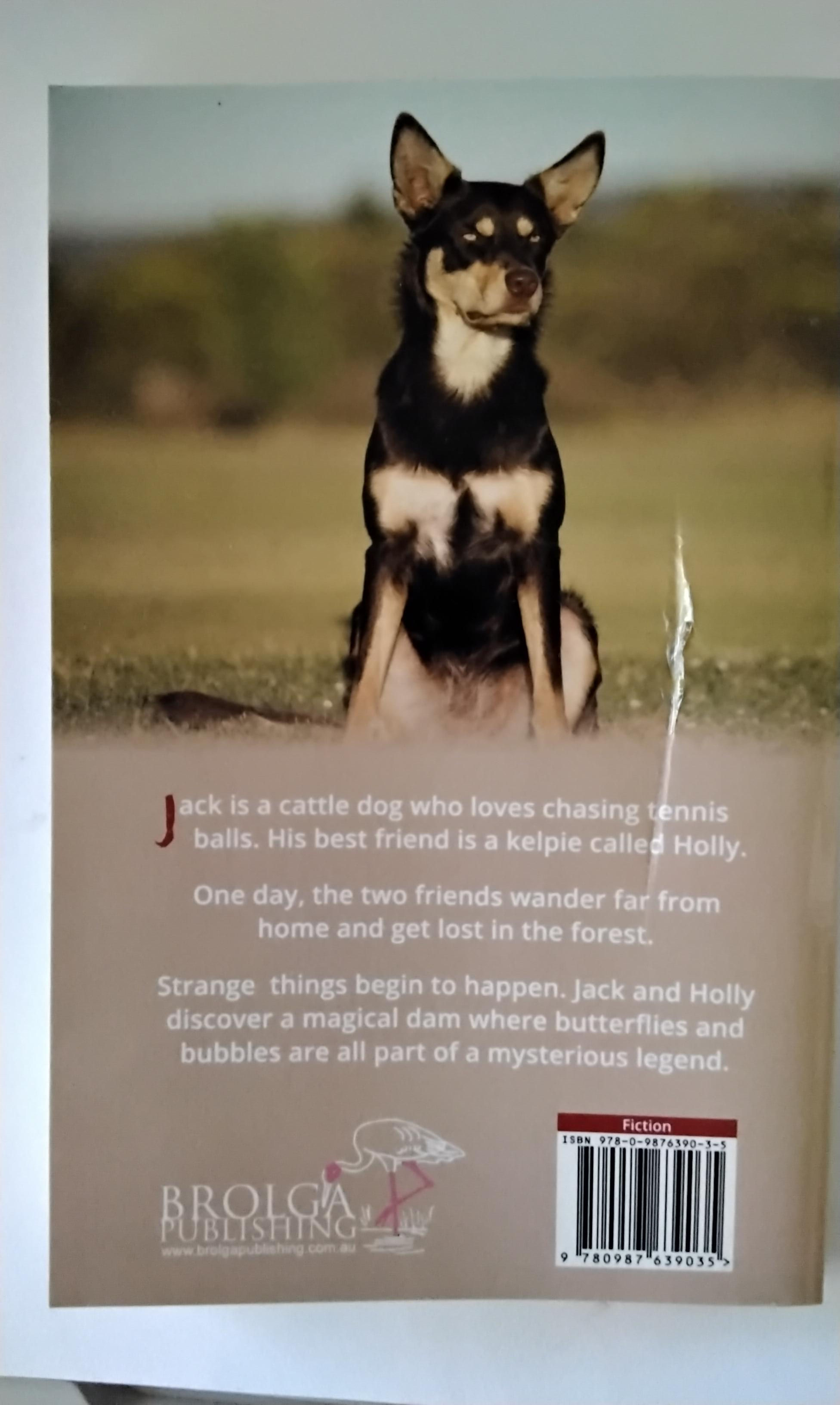 Stormy Jack book - with fault