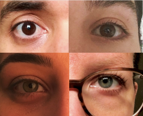 One Question, Multiple Eyes: Engaging Opposing Perspectives