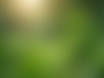 The Importance of Sustainable Living in Today's World