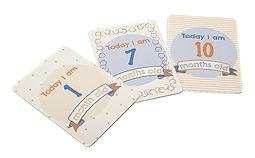 Cards and Stationery/Phoenix Greetings Cards/New Zealand