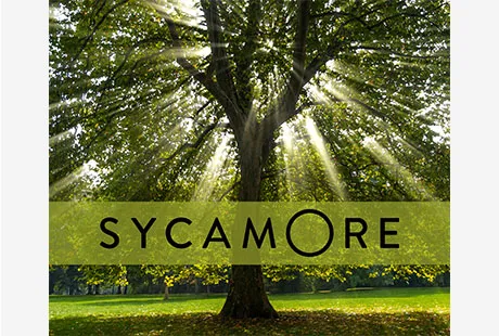 ATCRE CPD - Sycamore - Fr Stephen Wang