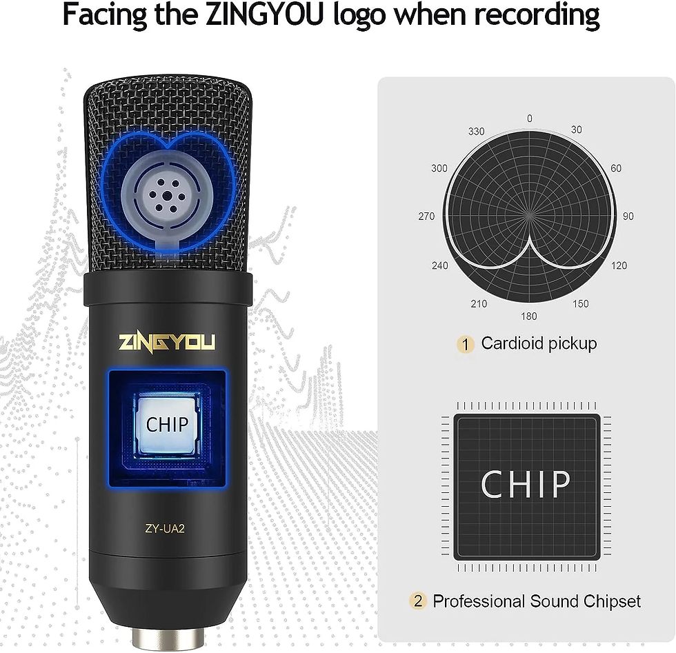 Thumbnail: XLR Condenser Microphone, Professional Studio Recording Microphone Kit with Vert