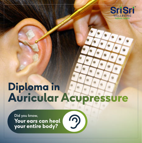 Online Acupressure Practitioner Program Sri Sri Wellbeing