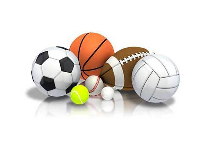 2019 Camp Flyer - Multi Sport - Balls.jp