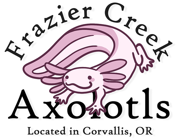 Frazier Creek Axolotls