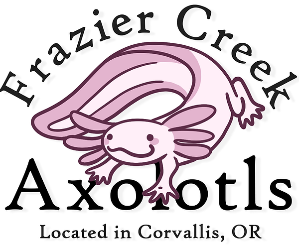 Logo_2024_location copy.png