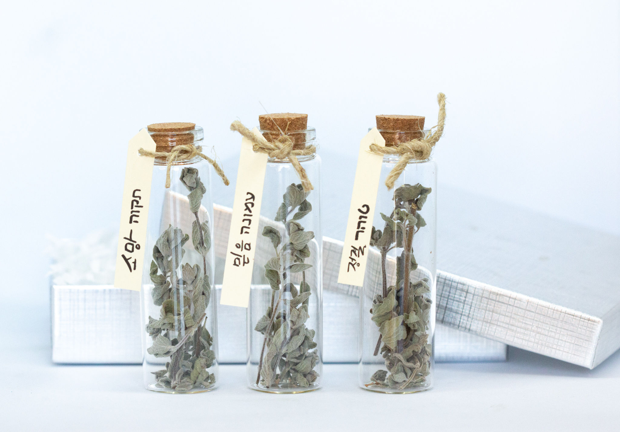 Ezov Gift Bottle Set, 3 Medium Bottles