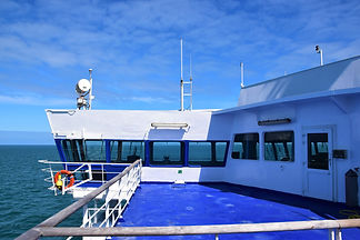 DSC_0545.JPG