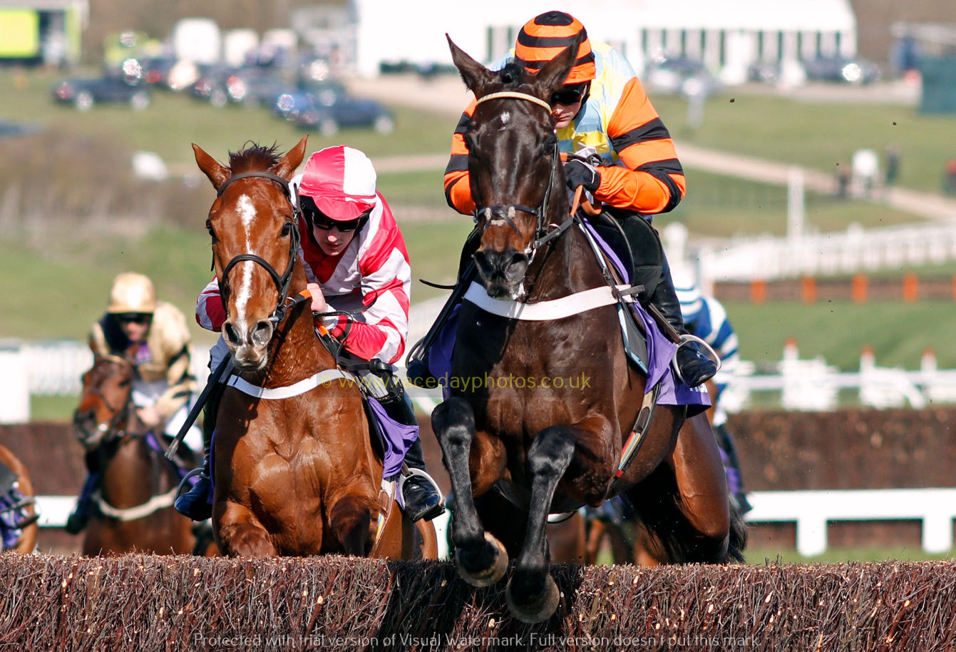 MIGHT BITE and ACAPELLA BOURGEOIS lead the field