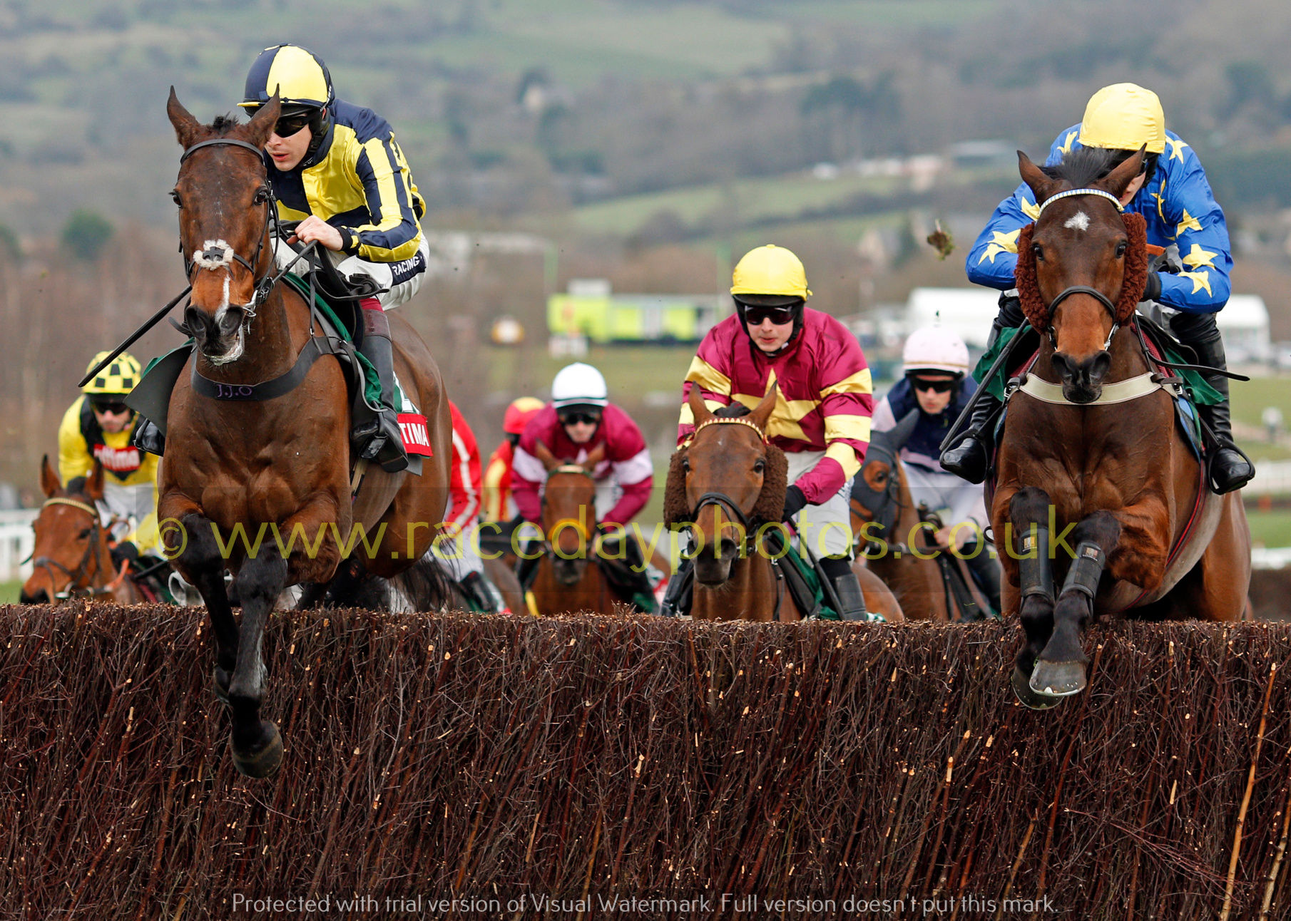 GO CONQUER and ANNACOTTY lead HENRI PARRY MORGAN and the field