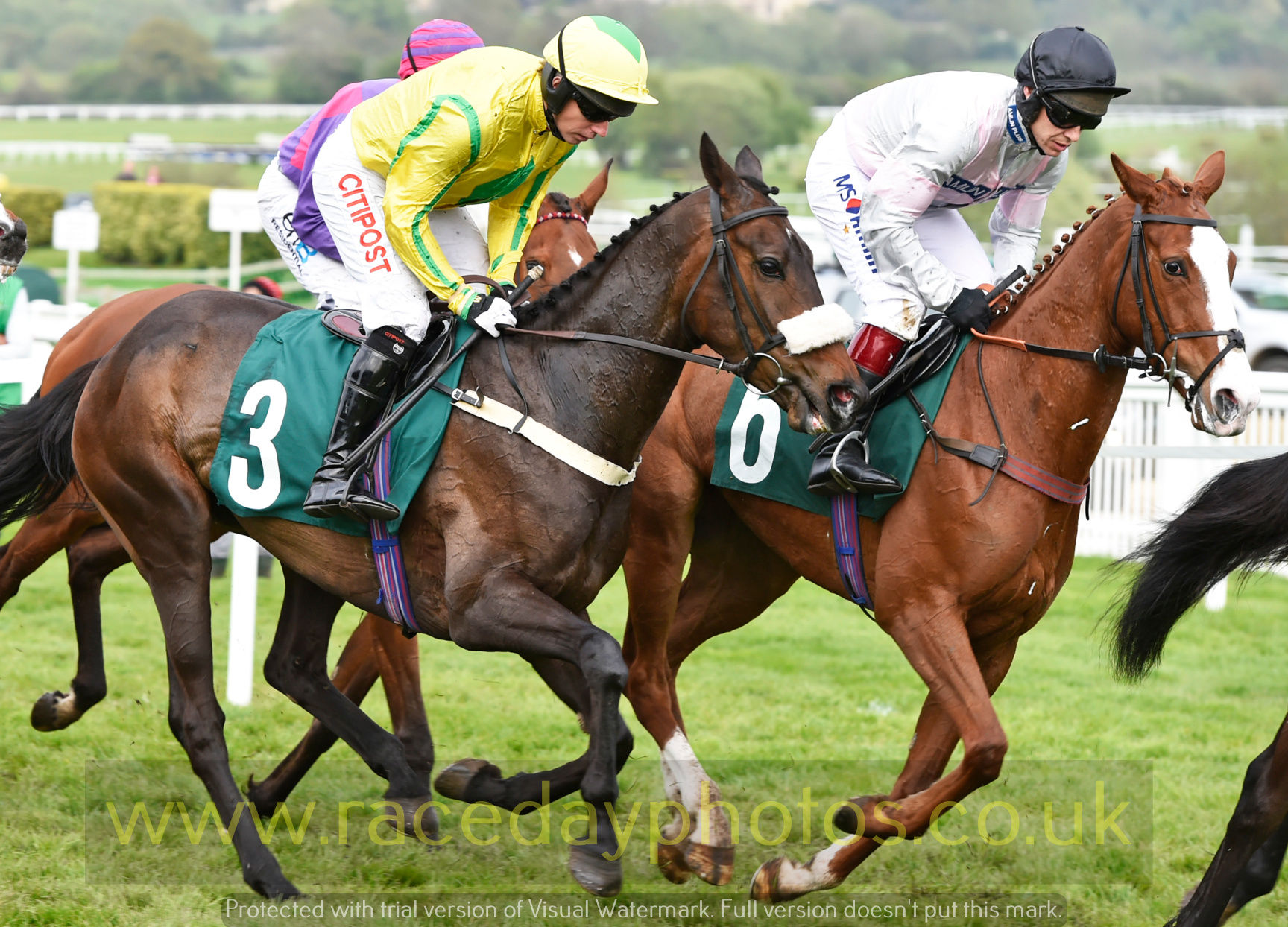 MARK'S FOLLY and THE WICKET CHICKEN