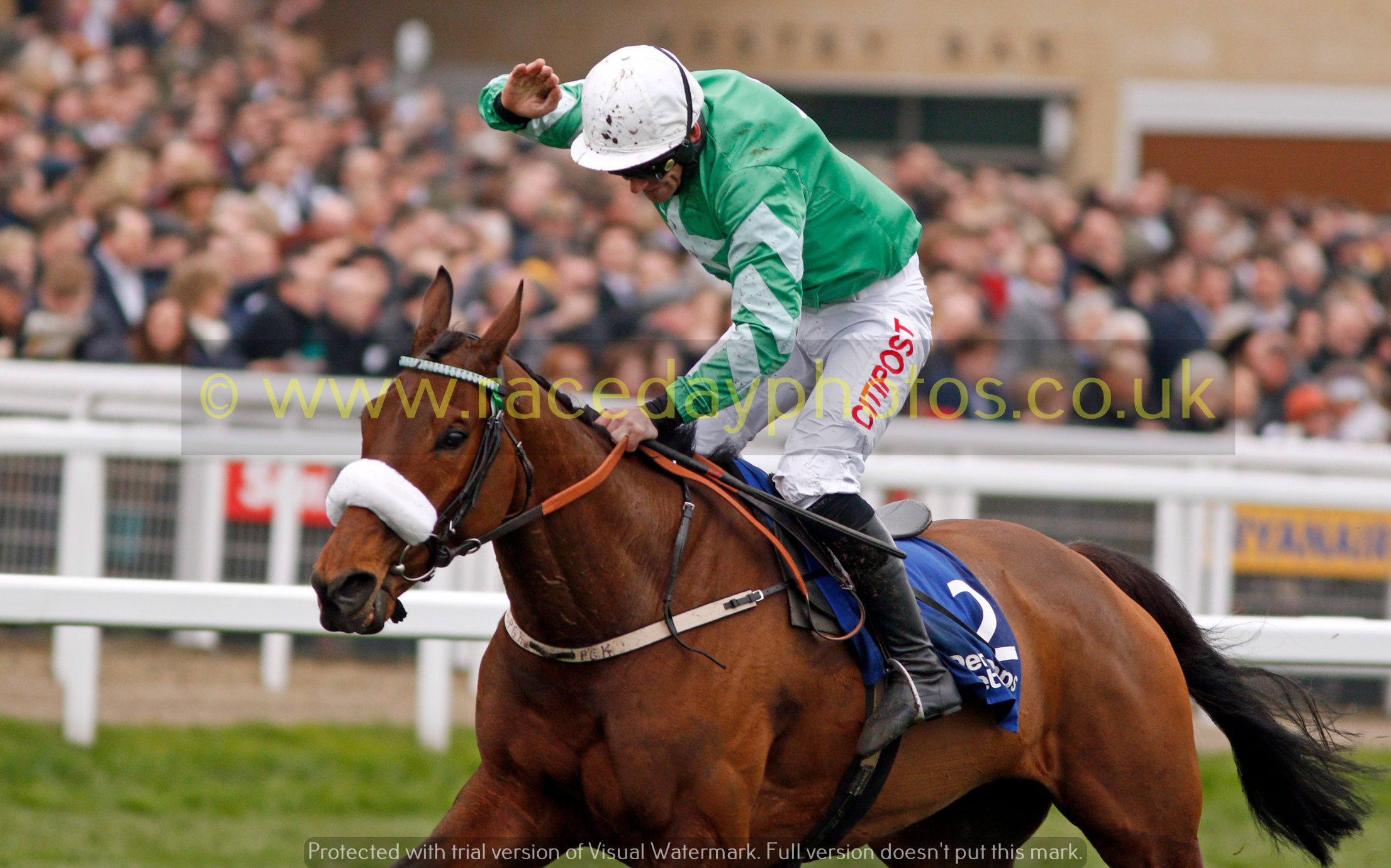 Presenting Percy wins