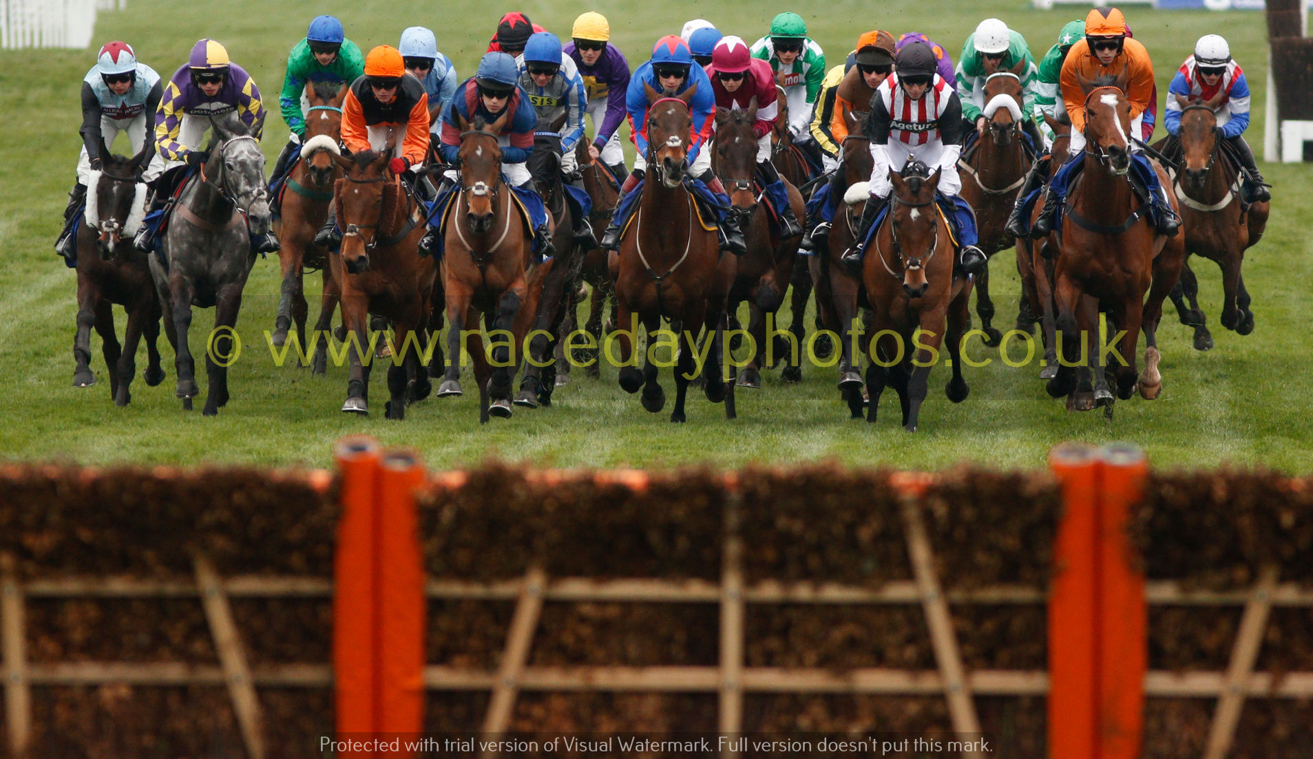 TOBEFAIR, ARCTIC GOLD, SPLASH OF GINGE and BALLYMALIN lead the field