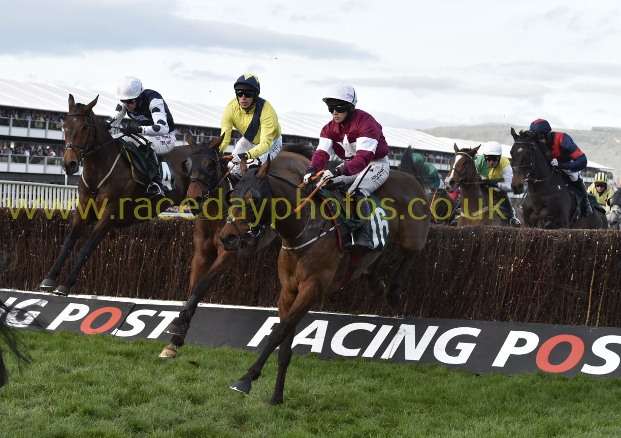 TIGER ROLL, MARTELLO TOWER, BALLYCROSS