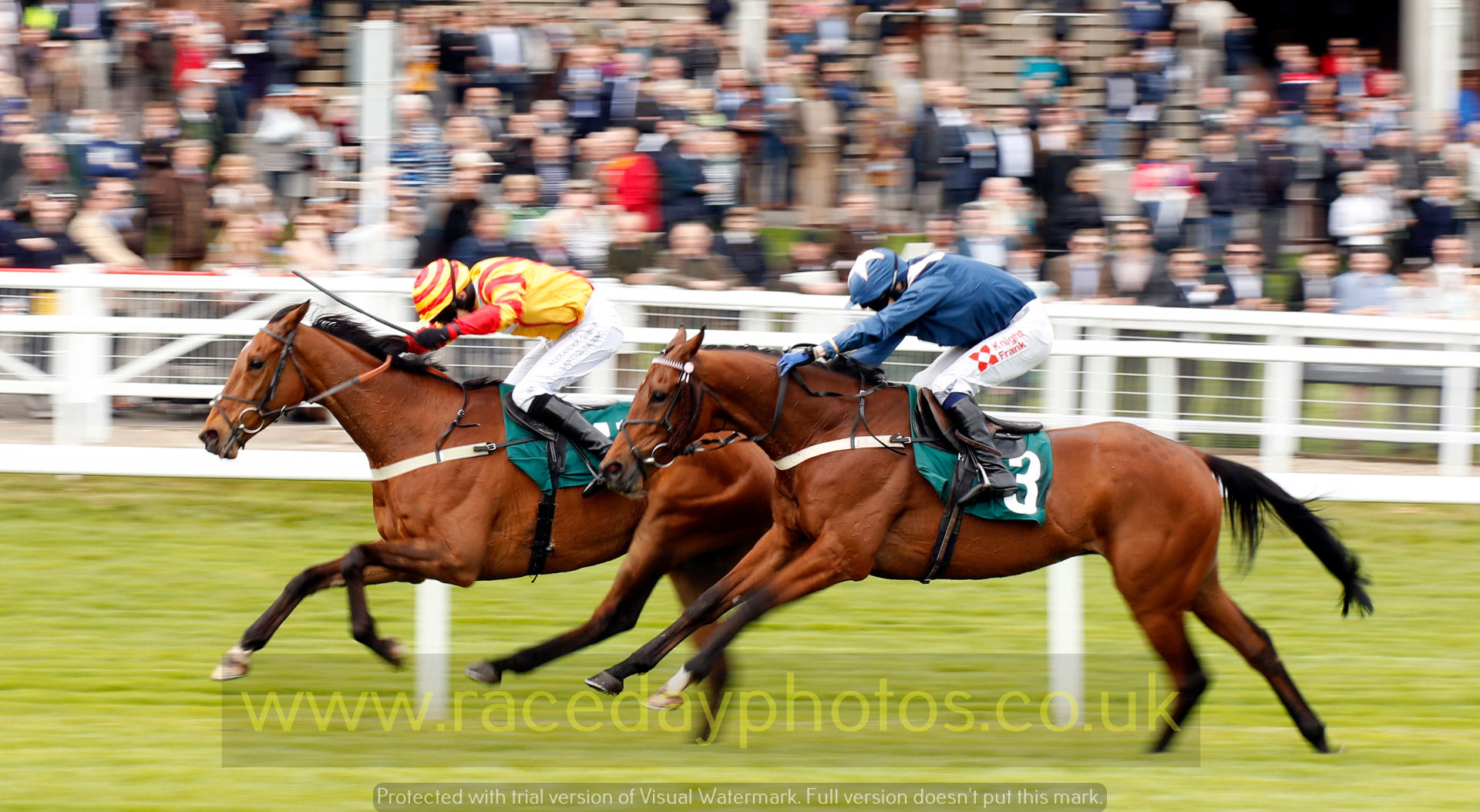 POLITICAL QUIZ races QUALANDO