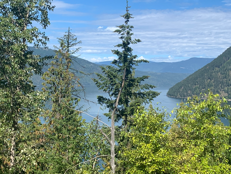 More Observations from a Bicycle on the Trans Canada