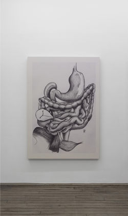 ILLUSTRATION MEDICALE