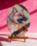 Thumbnail: PET PORTRAITS