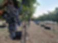 IMG-20190913-WA0000.jpg