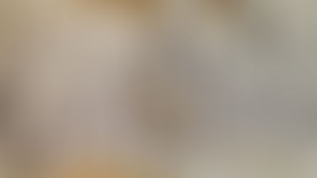 Capitulo V
Sonho Xamânico (parte II - continuação)