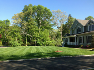 Landscape Maintenance