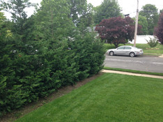 Plant Installations
