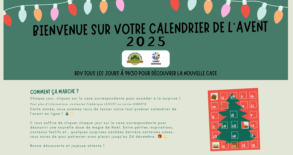 Calendrier de l'Avent 2025 en ligne par une agence de communication à Brive.